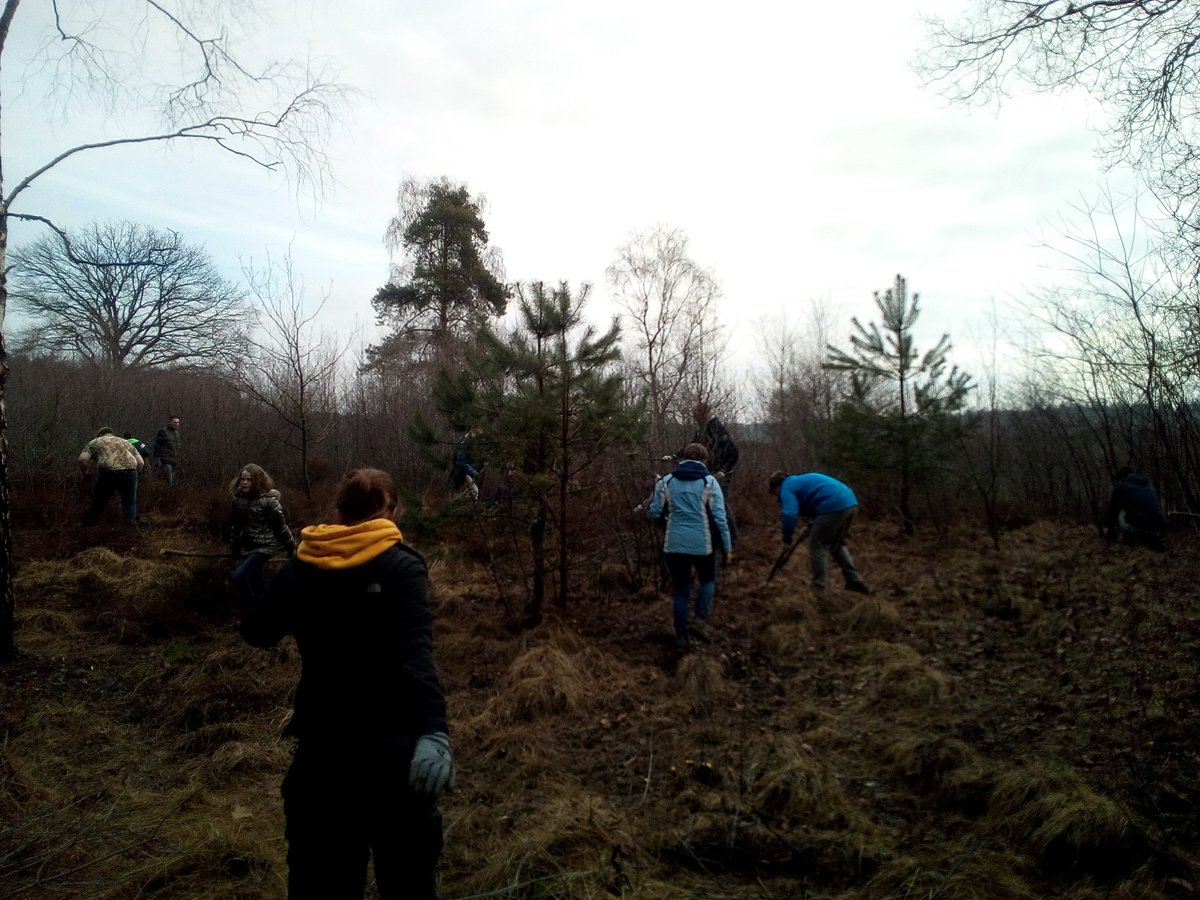 Viervoeter tweet media