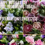 Photo by Stemtation Flowers (@Stemtation)