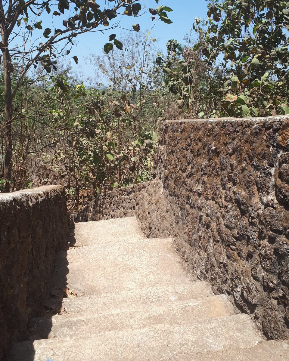 miranasstourism's tweet photo. Le Fortin de Boké, autrefois la maison de transition des esclaves. Ce passage du voyage sans retour pendant la période coloniale.
Découvrez l'exclusivité de cette histoire qui remonte dans les périodes coloniales...#224Fierté❤💛💚 #MiranassTourisme #visiterlaguinee #Boké #fotin https://t.co/WcFEKukSVd