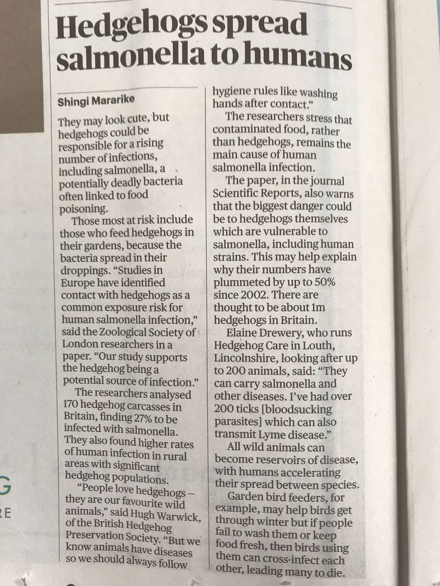 Hugh Warwick tweet media