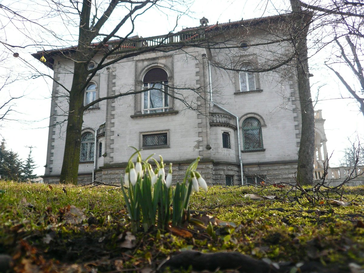 Lodz_citybreak's tweet photo. The first #flowers this #Spring in @Miasto_Lodz, #Poland. #Park od Klepacz Great #weather for #microtrip
Pierwsze kwiaty tej wiosny w Łodzi w #ParkKlepacza Wspaniała #pogoda na mikrowyprawę. Korzystajcie z okazji. @MeteoprognozaPL straszy, że #zima wróci lada dzień https://t.co/TJ9gyzuuT9