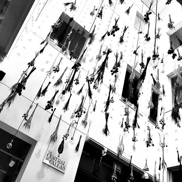 doncesar_doc's tweet image. #lacentral #lacentrallibrary ift.tt/2Gge43c