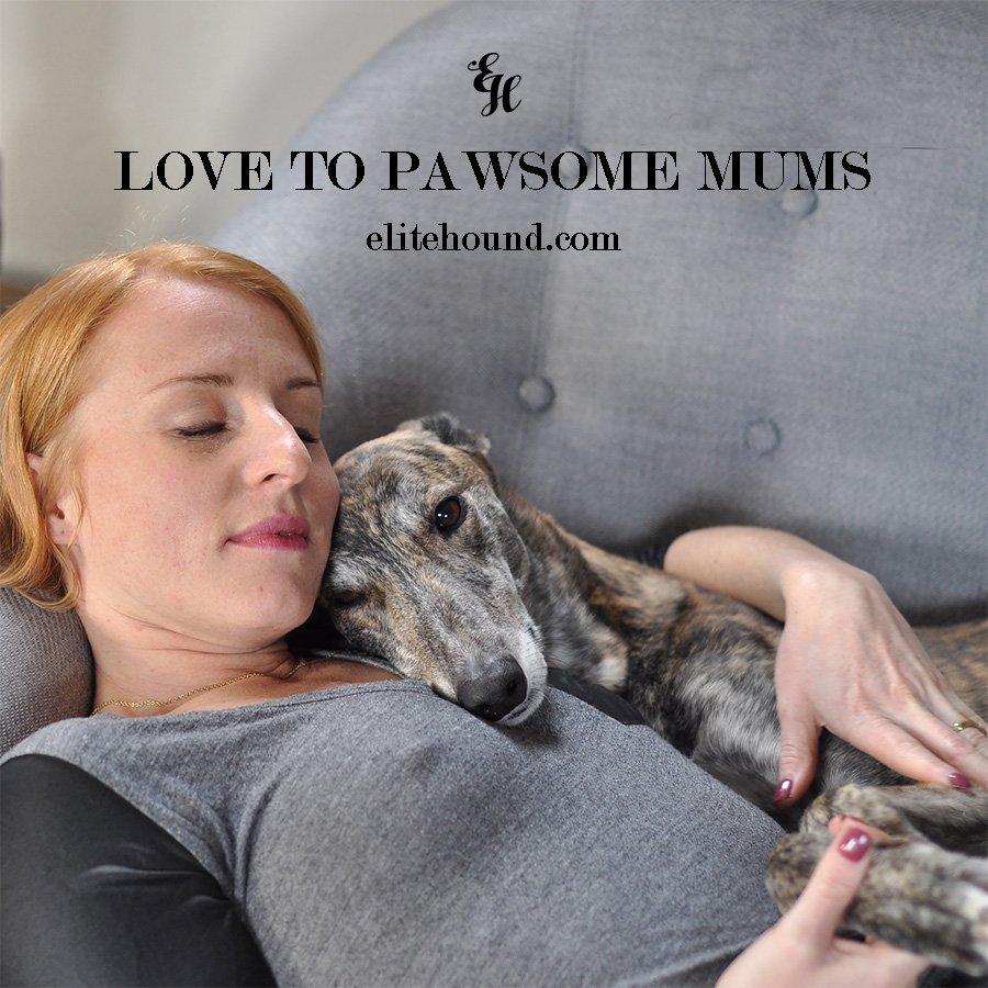 HAPPY MOTHER’S DAY
Sending big hugs to every pawsome loving mum who cares for her awesome hound every single day.
Lot of love.
#powsome #mothersday #lovemymum #mymumisthebest #mumslove #elitehounduk