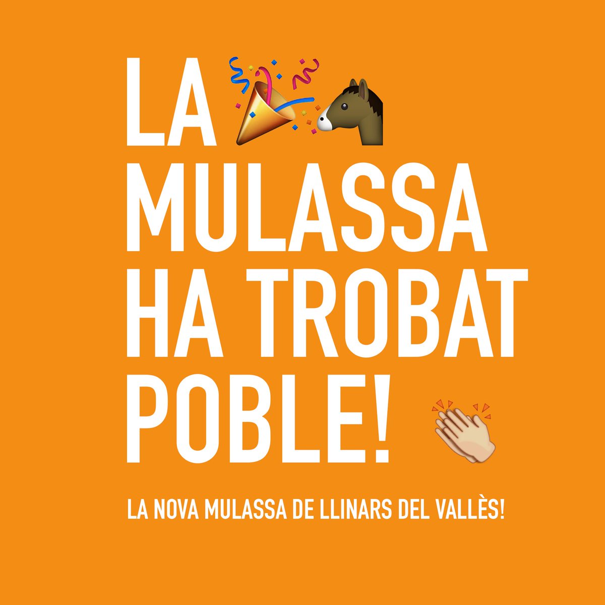 Mulassa busca poble tweet media