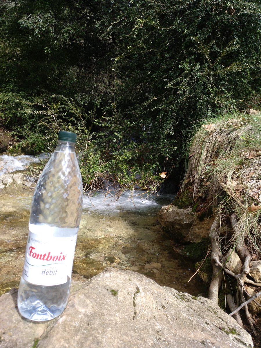 Mrius94373829's tweet photo. Riu boix i aigua fontboix acompanyats per una boixera. Relacions naturals... Creativitat i natura van lligades de la mà oi??? #cocrea_fepts #water #nature https://t.co/TCoOVqID4e