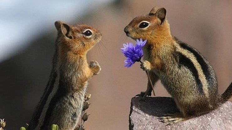 When you see something beautiful in someone tell them.
It may take seconds to say
But for them it could last a lifetime.