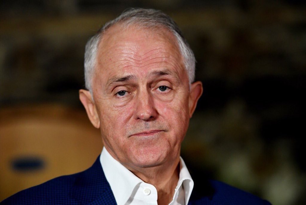 Morpheus🦘 tweet media