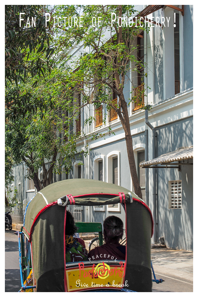 pondytourism's tweet photo. Fan Picture of the day!

Like us &amp; Follow us!

Want to get your Photo/Video published here, mail us at

pondytourismofficial@gmail.com

#Pondicherrytourism #Pondytourism #Puducherrytourism #Pondicherry #Puducherry #Pondy #PlacestoVisit #ExplorePondy #tourism #Sightseeing https://t.co/KDS1nk3QCM