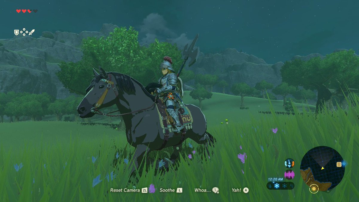 #BreathoftheWild #NintendoSwitch