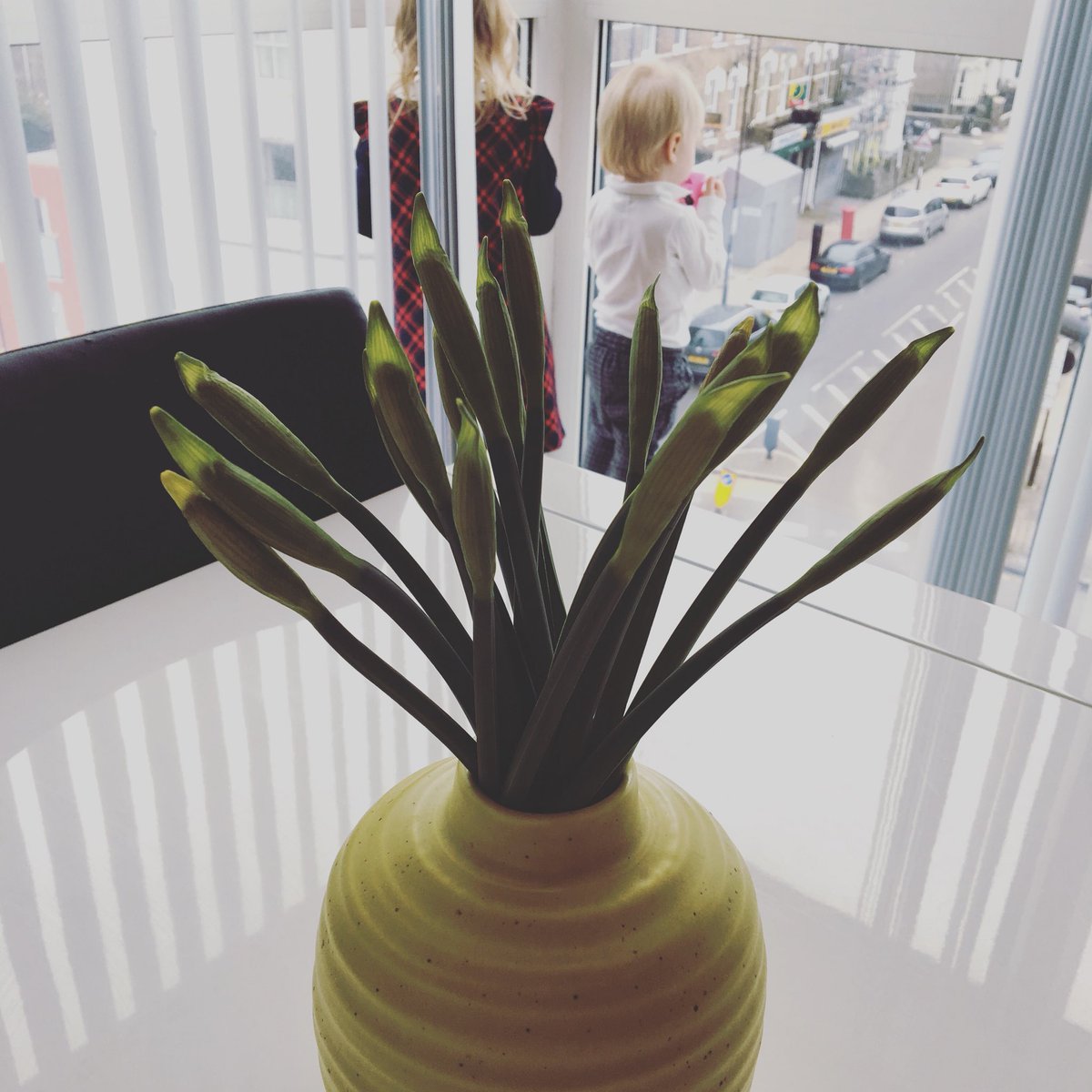 Sif Sigmarsdóttir tweet media