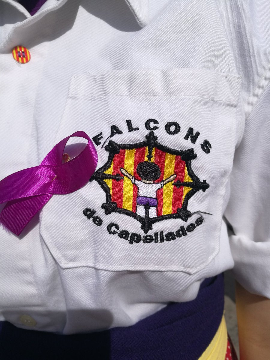 donesfalconeres's tweet photo. Algunes de les colles participants de la 1a actuació de #donesfalconeres https://t.co/cOvtOVXChW