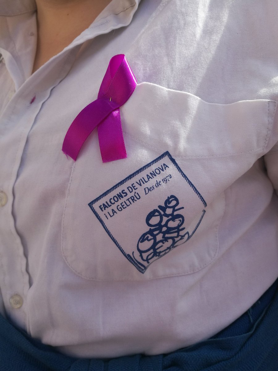 donesfalconeres's tweet photo. Algunes de les colles participants de la 1a actuació de #donesfalconeres https://t.co/cOvtOVXChW