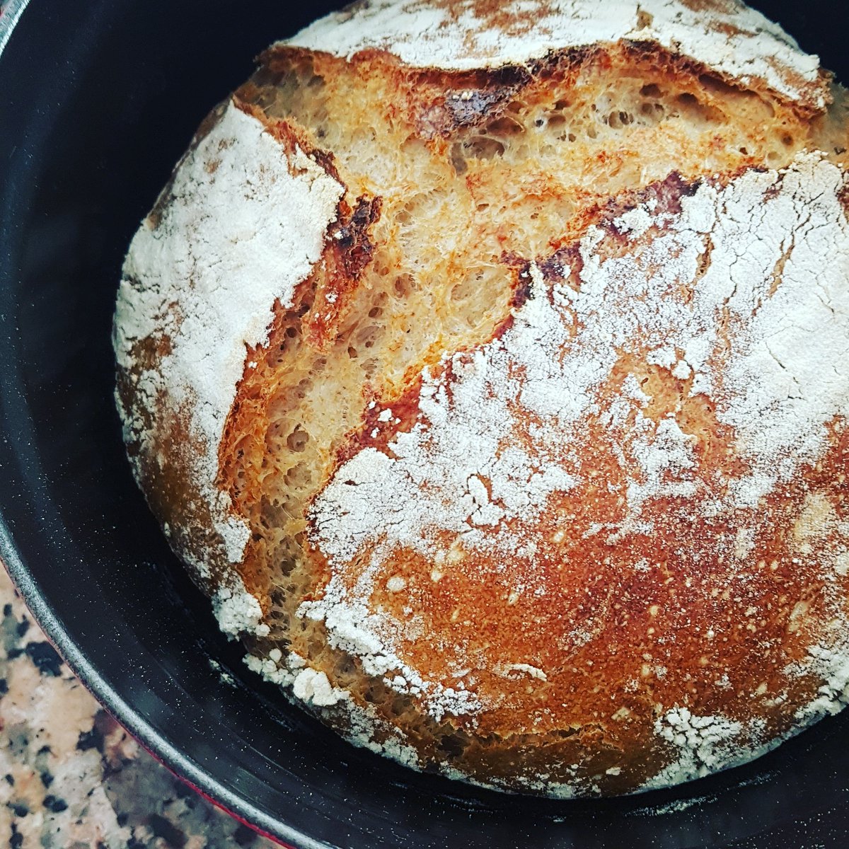 kochtopf's tweet photo. Brot vom #synchronbacken ist fertig! Schaut besser als gedacht. Jetzt muss die #synchronmiche nur noch schmecken! https://t.co/wgRqoS2qfe