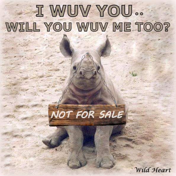 Wildlifeatheart's tweet photo. #EthicalConservation is not only about #cuteness=big bucks for some orgs. Sometimes, mostly, it's non-glamourous #VeterinaryWork #HeartBreaking pain #BloodSweatAndTears & #BackBreaking #HardWork.
Support those showing what they do!
https://t.co/tLkfKBPvCC
https://t.co/KgzibmebHx https://t.co/zMZnAbwtnl