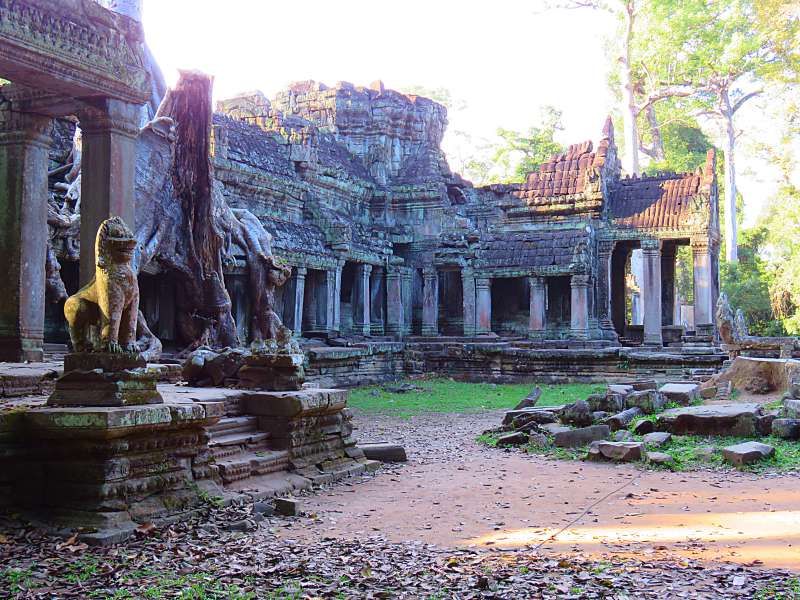 TravellingLindfields tweet media