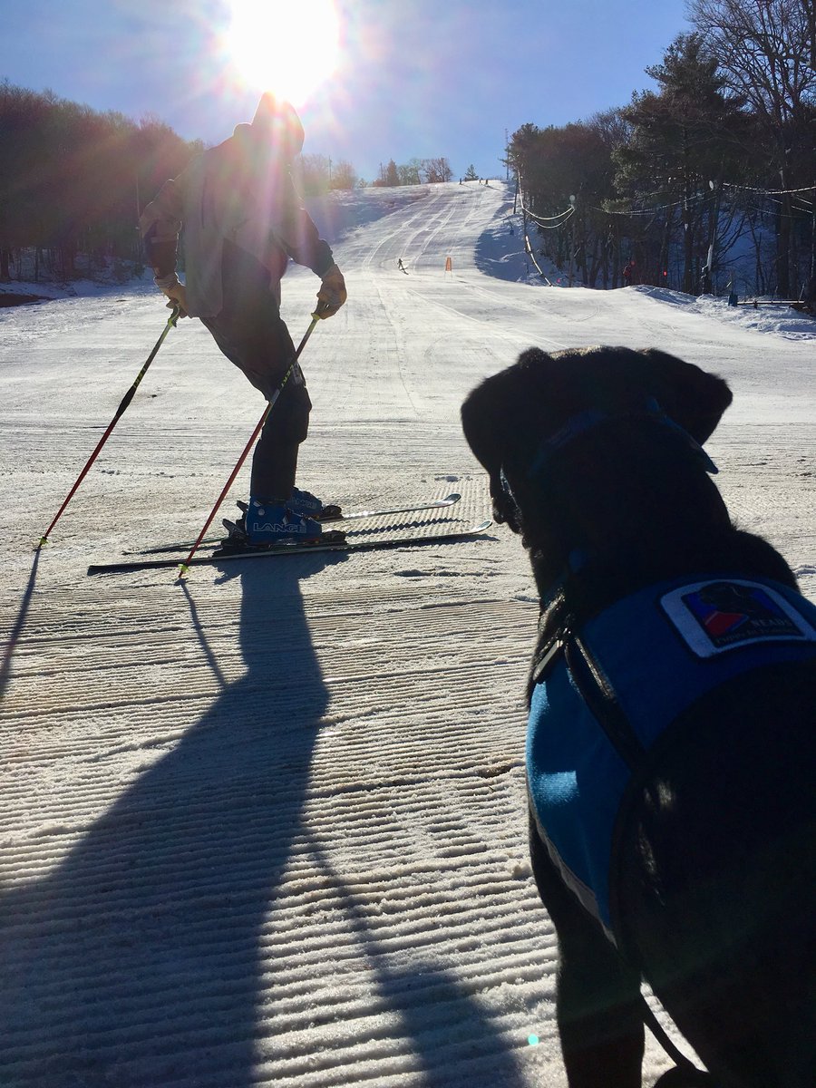 DougGrandin's tweet photo. Heidi wonders if the Ski Paw-trol needs assistance @NEADSdogs https://t.co/bQM3RObpSh