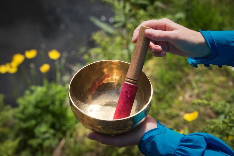 Ann Ward tweet media