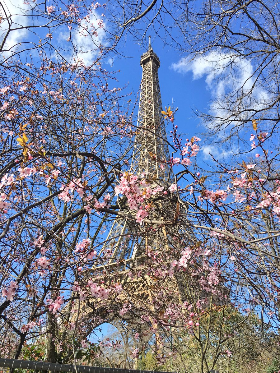 zeparisienne's tweet photo. Retour en fanfare du soleil et des fleurs ! @LaTourEiffel #paris https://t.co/qsG43zOF75