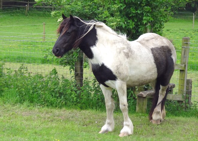 manechance's tweet photo. Happy Mother’s Day from our own mum Gwen. And you don’t have to be a mother to be ‘a mother’ - if you nurture you are a mother to us. May your day be filled with love &amp; may it surround you today and everyday. https://t.co/9ftX6TW4PP