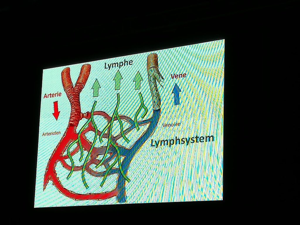 Scheervd's tweet image. 