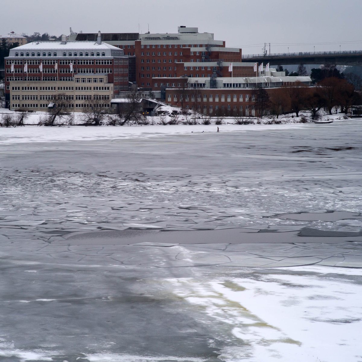 lawmurray's tweet photo. Winter walks #stockholm #storaessingen #kungsholmen #sweden #sverige #winter #ice #frozen #melting #overcast #mälaren https://t.co/hdC27gMo4G