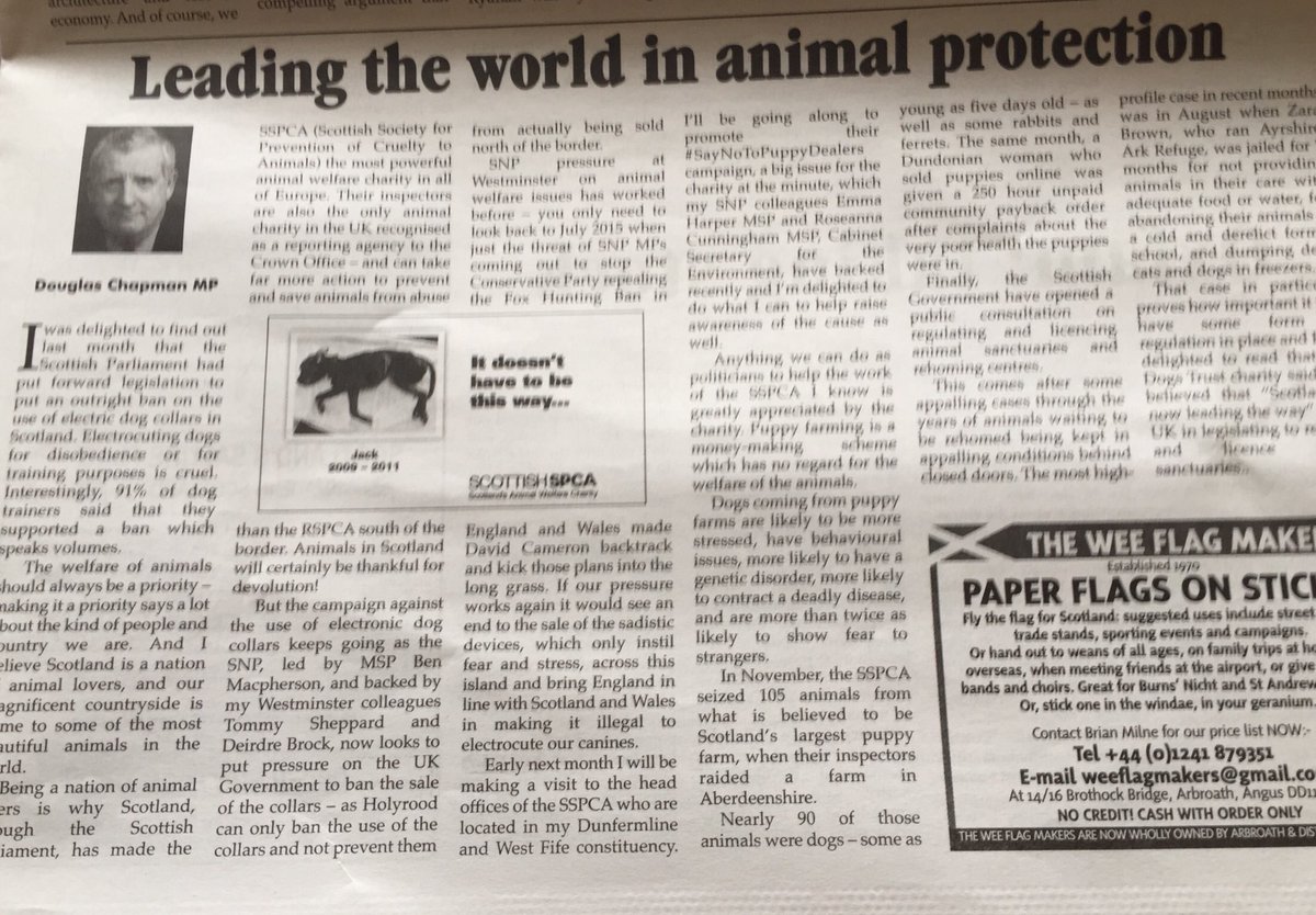 DougChapmanSCO's tweet photo. This issue of #ScotsIndependent with @ChangeLtd on front page and inside article on how Scotland leads on animal welfare @ScottishSPCA https://t.co/f5s6Xjyp4b