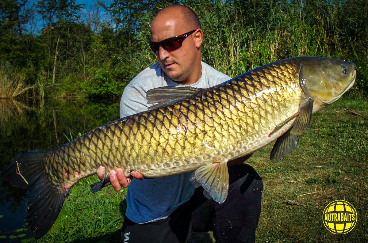 Carp_Master_1's tweet photo. #Nutrabaits #Nutraofficial #EST1986 #QualitySince1986 #Trigga #NutraBaitsTV https://t.co/L2B6UeF7oY