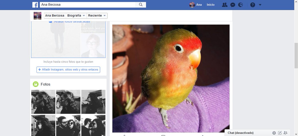 patterns_static's tweet photo. hemos perdido a warhol

sé que es inútil que pida ayuda por aquí pero necesito encontrarla, mi impresora está rota y como es domingo las copisterias están cerradas. también preguntado por los alrededores y ni la tienen ni la han visto. https://t.co/wNidtHJm2v