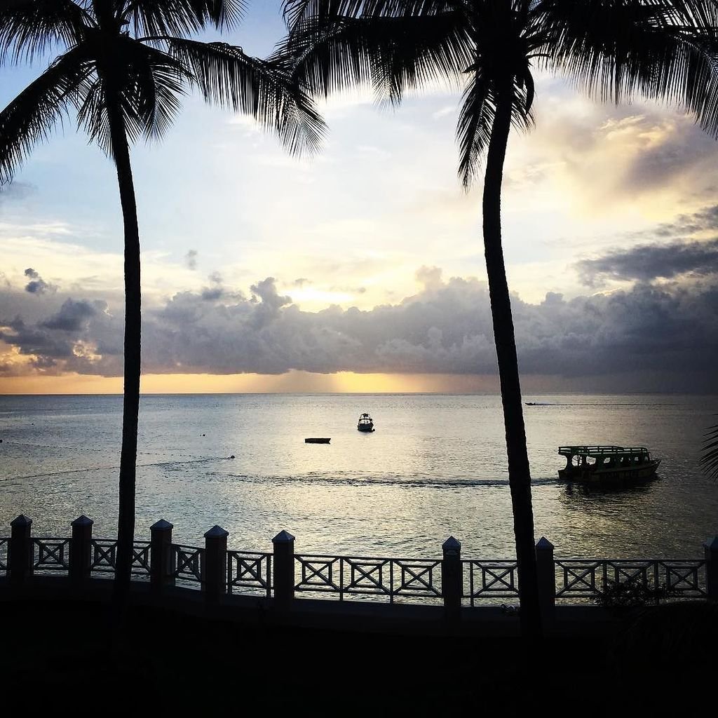 discovertobago1's tweet photo. Hello from Tobago! First time to the Caribbean and now seeing why people love it. This is the view from CoCo Reef … https://t.co/BmCDiyXocP https://t.co/AsUg1GItkh