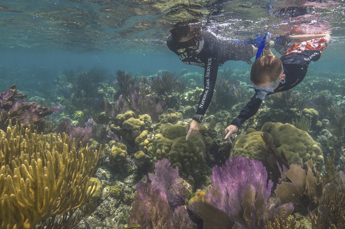 KWSeaplaneAdv's tweet photo. Things to do in #KeyWest besides #DuvalStreet.
#DryTortugas #snorkelthereef #NationalPark. #KeyWest #Bucketlist #Bucketlistmust #SundayMotivation #Sundayfun https://t.co/yHDmzzwIoP