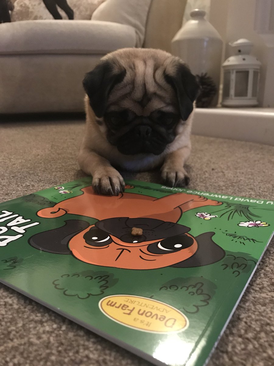 apugstail's tweet photo. #PugBook pick up a signed copy https://t.co/T0XCzOKEaf https://t.co/F41W59f34x