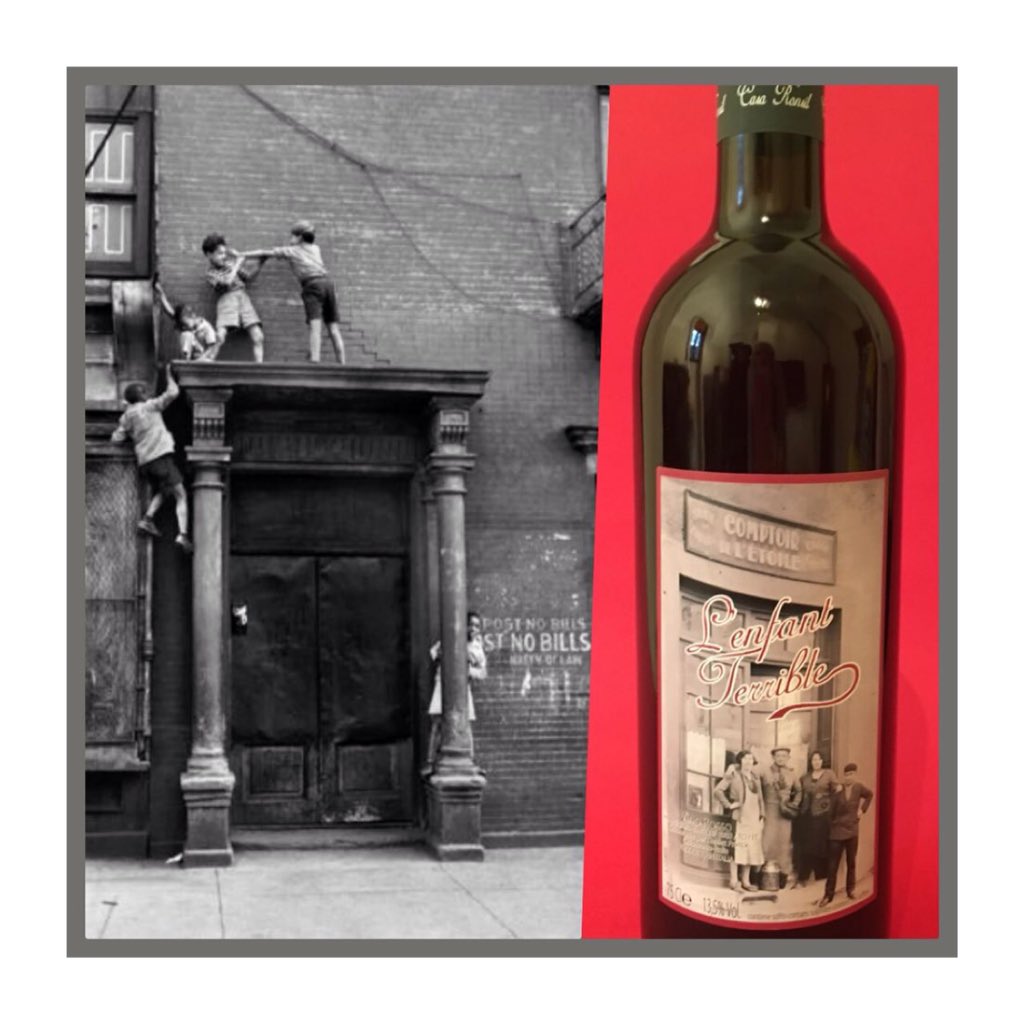 CasaRonsilWine's tweet photo. 🇮🇹 bambino birichino !
" l'enfant terrible " vino rosso vitigno autoctono avanà di CASA RONSIL vini .   🇫🇷 Enfants terribles !!! vin rouge avec cépage autochtone "Avanà" de CASA RONSIL WINE . https://t.co/QSE1JiT5ky