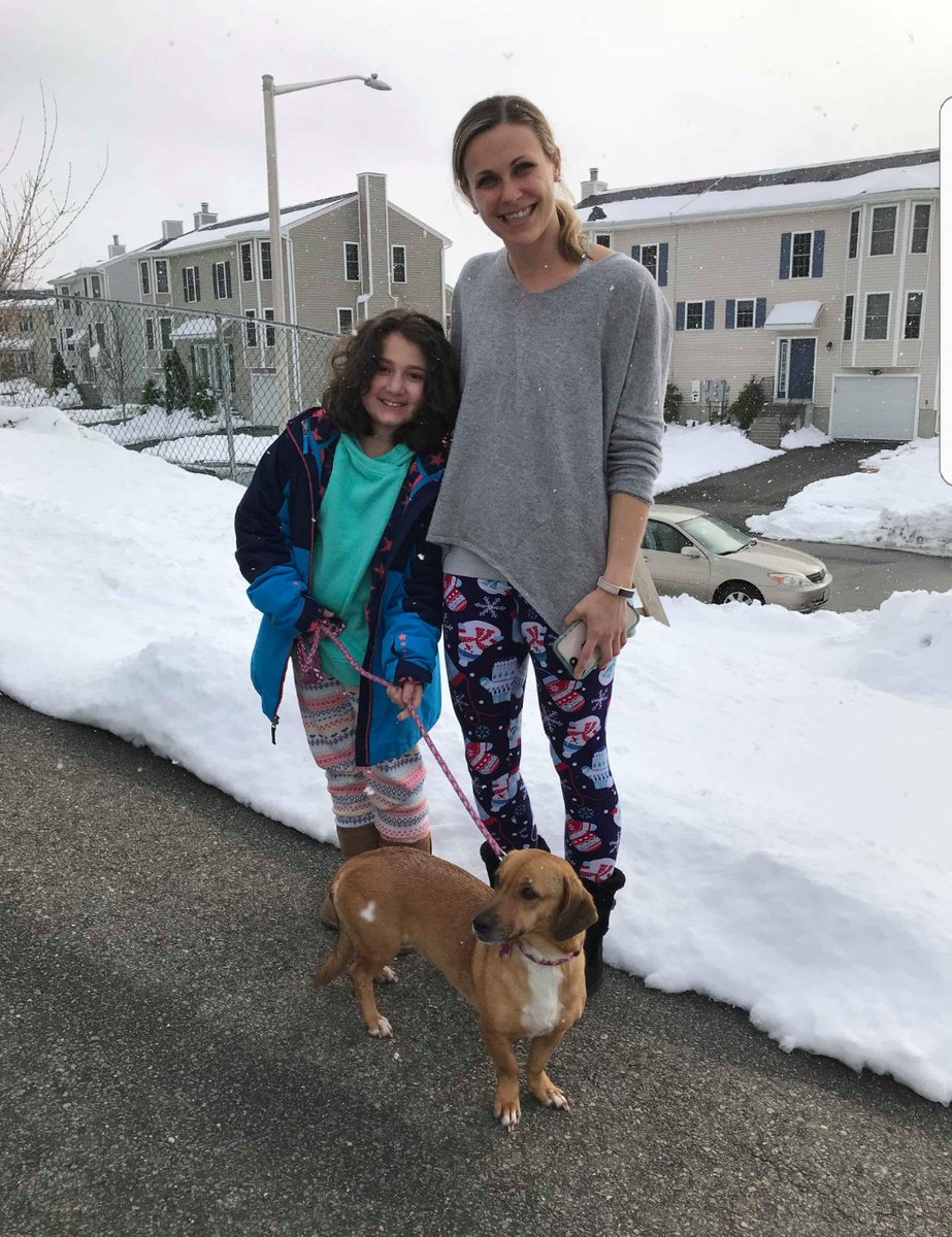 HavenMobay's tweet photo. Vienna has finally found her forever home with a wonderful family in the US. Be happy little one! @NextStopHomeAR @BaypathHumane #AdoptDontShop #HappyTails #rescue #Respect4Dogs #Successful https://t.co/5CTnDEta8C