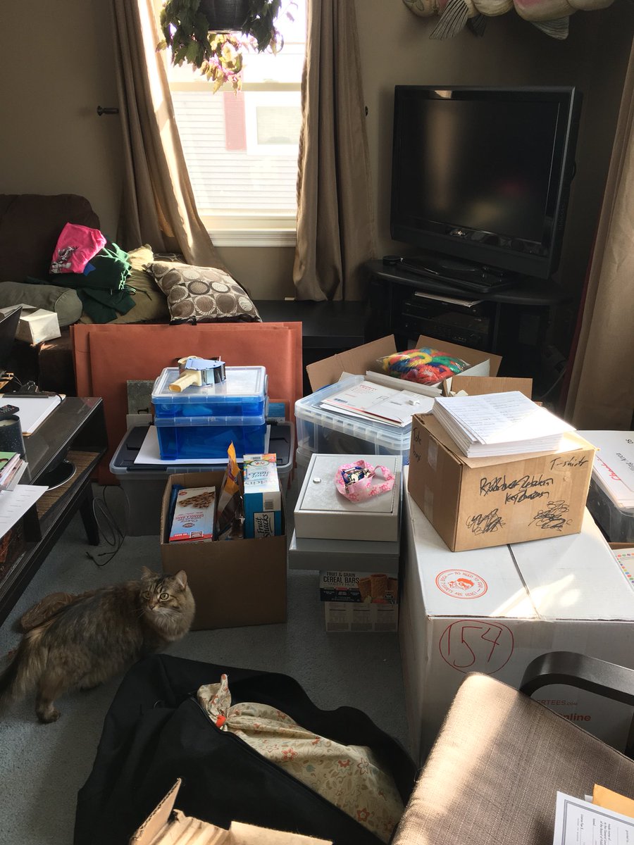 BoundInBoston's tweet photo. Springing ahead into the week of the con!! Say hi to Zoe, the con cat. https://t.co/cq4T921eWx