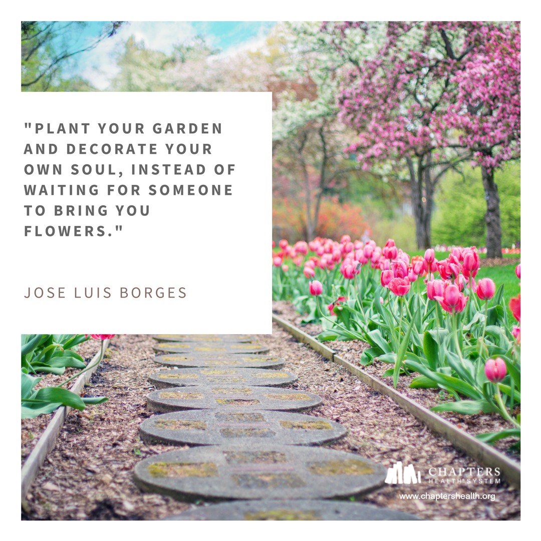 Chapters Health tweet media