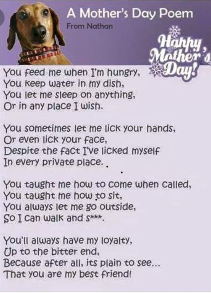 2_Beagles's tweet photo. For all the fur mummas out there. 😘 https://t.co/jkHBrpmnWA