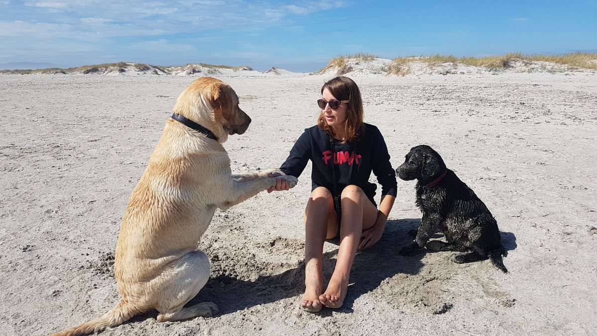 Reuben_Mein's tweet photo. #Peacefull morning on the #beach with the ones I #love. https://t.co/sISQYAB1vZ