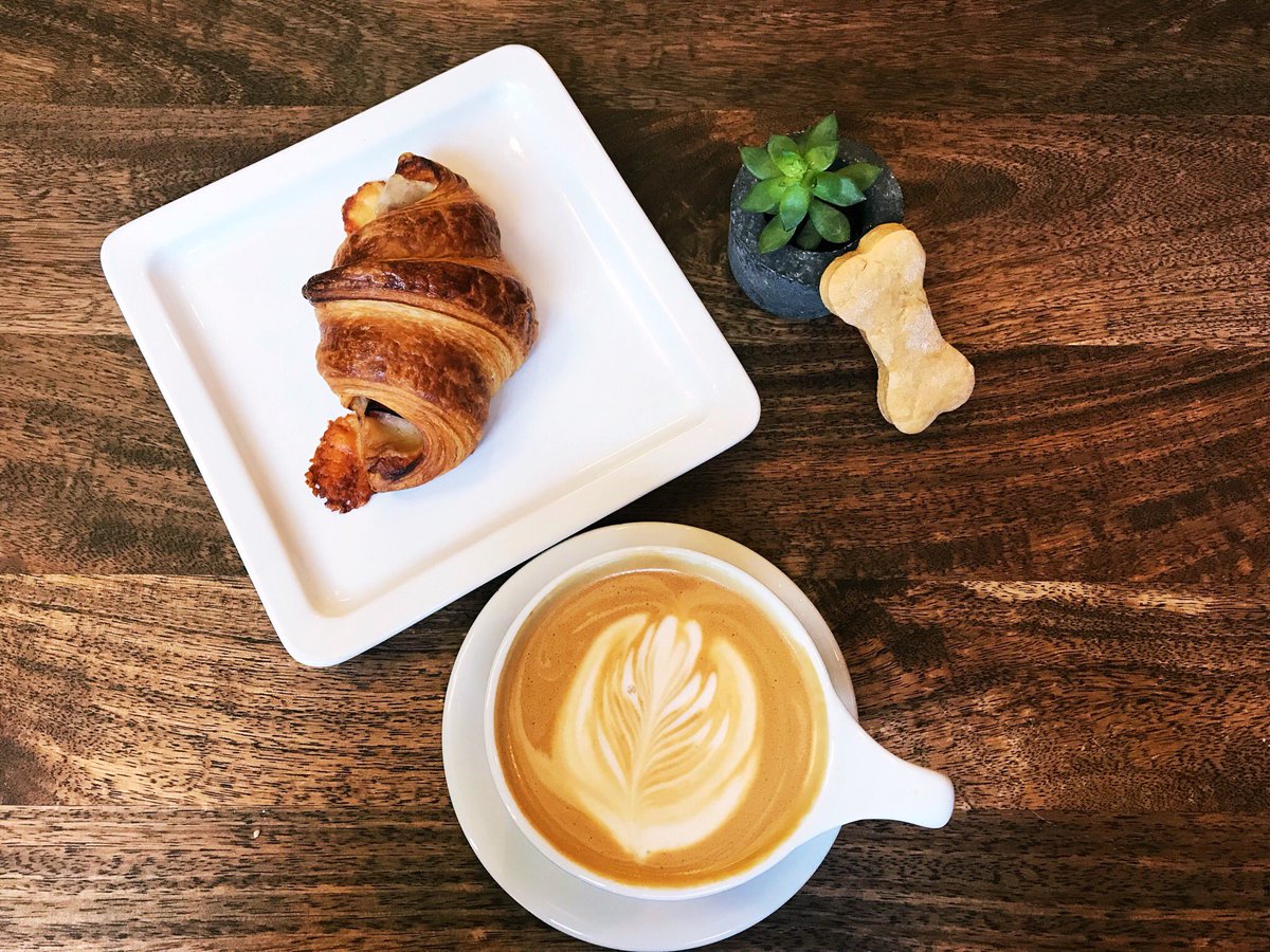 OkayCharisse's tweet photo. It was a latte, croissant and doggy treat breakfast at Urbana Cafe. Followed by a difficult photoshoot with my kids. #PendletonLife #ThisisPendleton @urbana_cafe https://t.co/ugSwN2AHtX