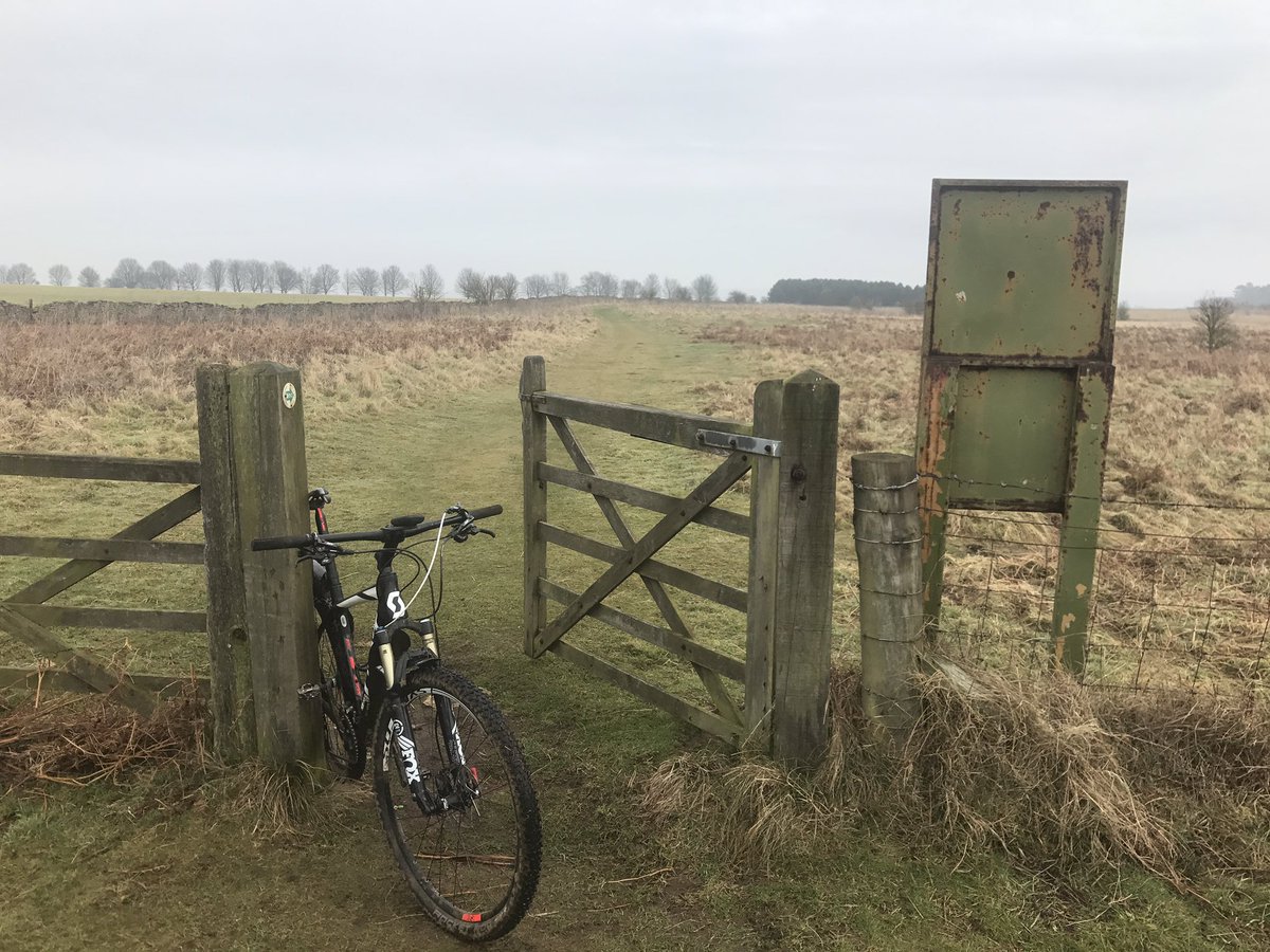 stevehigh4's tweet photo. Sunday funday out on @bikeonscott enjoying warmer weather encountering resident nutty pheasant @LincsSkies #mtbexplore #cycling #Lincolnshire #aatr #singletrack https://t.co/CbtLt3uja2