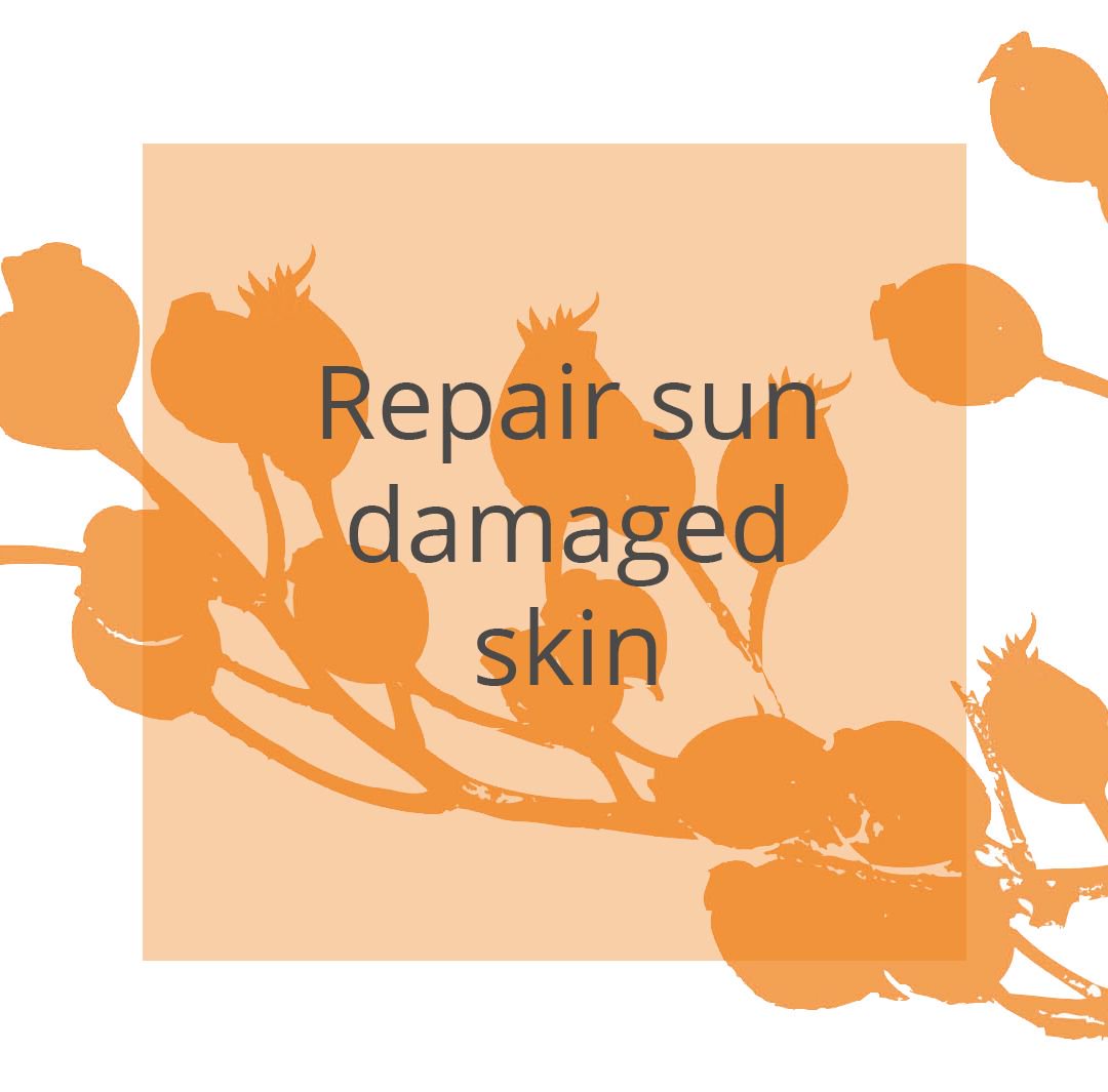 RosehipPLUS_UK's tweet photo. Repair sun damaged skin #rosehipoil #rosehipplusuk https://t.co/mQbJsc3K5c