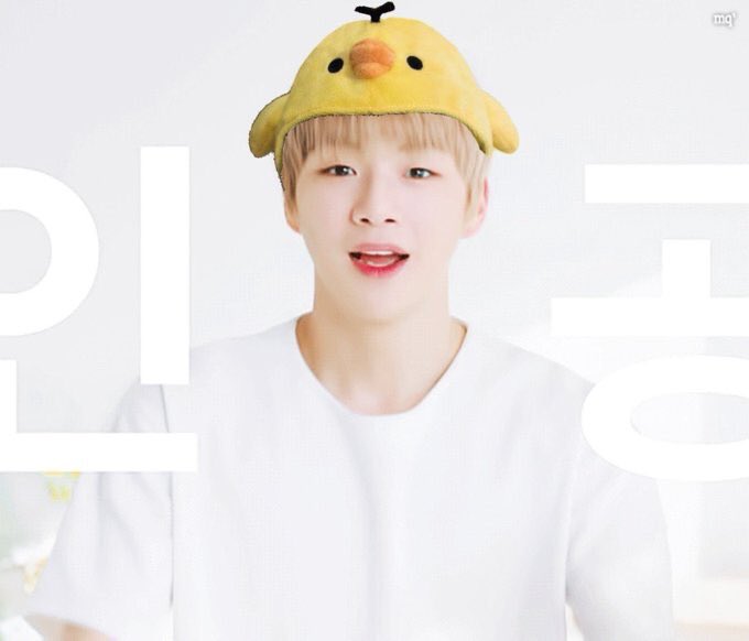 danieltoothcute's tweet photo. 강다니엘 신한은행 
강다니엘 LAP 
강다니엘 씽크네이처
강다니엘 더스프링홈
강다니엘 발칙한동거
강다니엘 사진
강다니엘 뮤비
강다니엘 직캠
강다니엘 금발
강다니엘 멈무 
강다니엘 뽀시래기
강다니엘 배경화면
강다니엘 현대무용
강다니엘 비보잉
강다니엘 피지컬
강다니엘 귀여워 https://t.co/flC1iy7yes