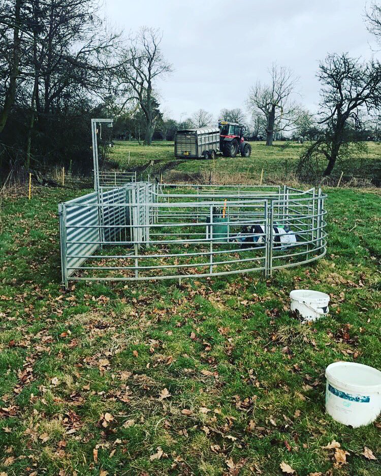 njh563's tweet photo. Finally managed to move my race to new field 👌🏻👍🏻 #mudd #rain #wet https://t.co/Hs4vzAvoId