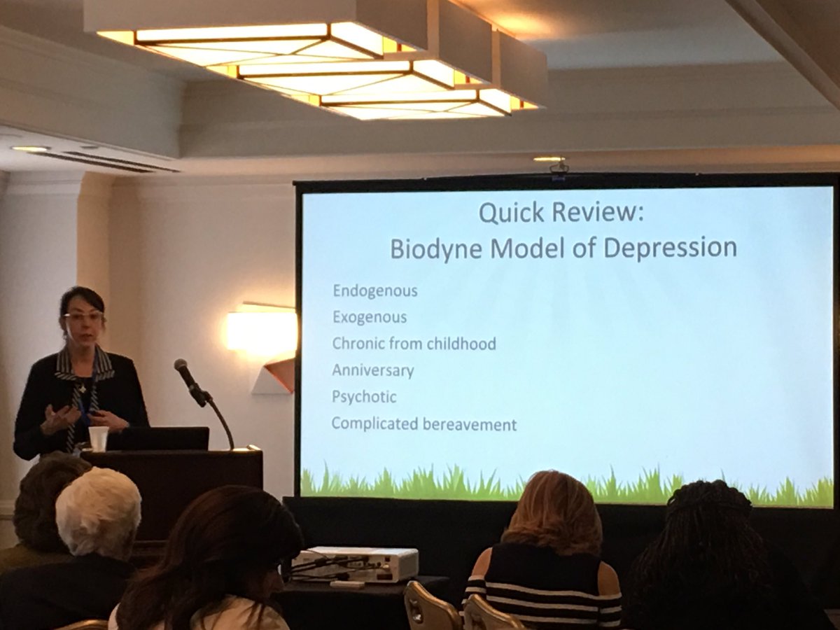 DrLeolaniAhQuin's tweet photo. #5CIC  Dr Janet Cummings -issue ...Inflammation and Health ...solution -Biodyne model https://t.co/gzyYMys0y8