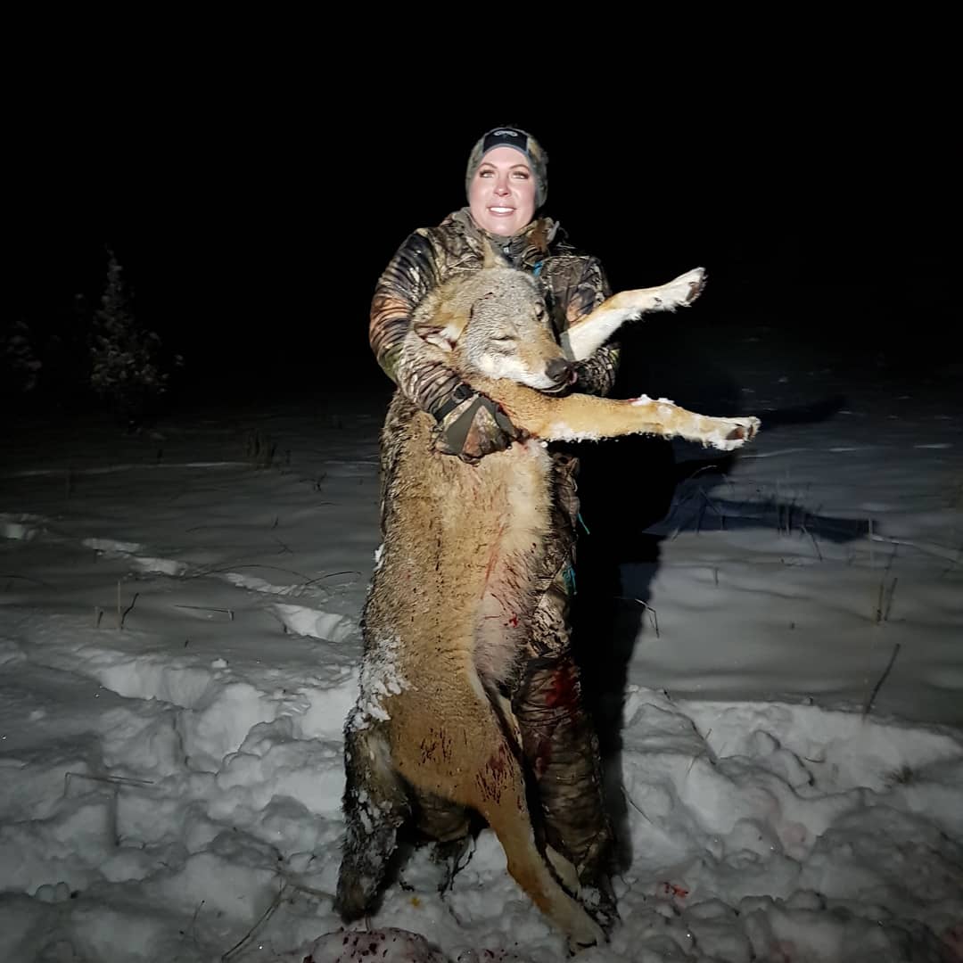 witkopsafaris's tweet photo. Hunting wolves in Serbia. https://t.co/Rk3dOJHrtT
