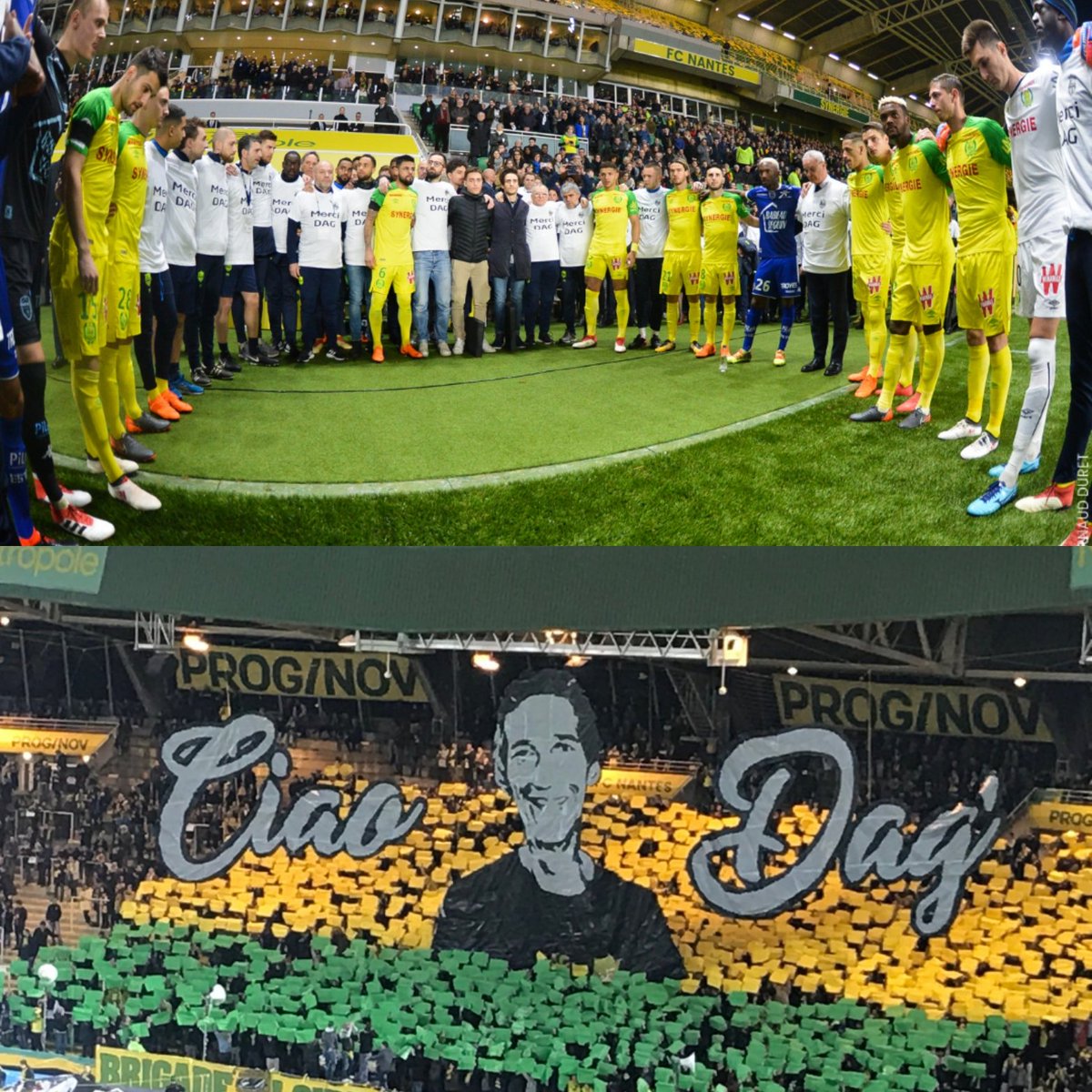 Delph #ES9 #NP4 🔰🐥⭐⭐🇫🇷 tweet media