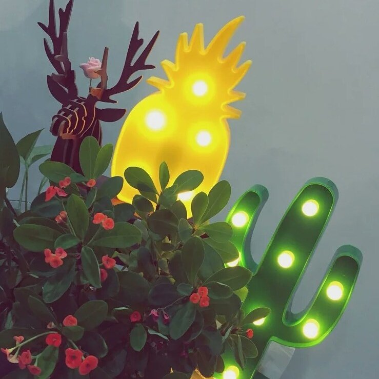 nbakilight's tweet image. #pineapplelight #cactuslight #springlights #homedecorlighs #ledshapelights #Akilight