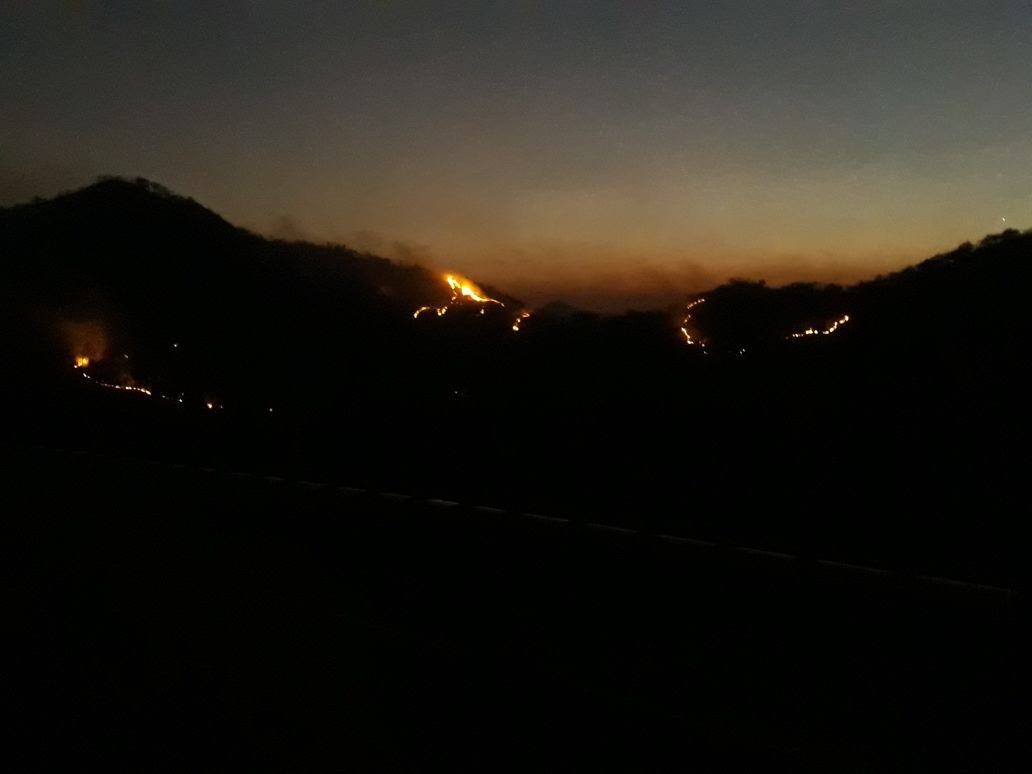 bknarnoli's tweet photo. Huge fire can be seen in SGNP from #ThaneGhodbunderRoad @ThaneCityPolice @Greenpeace @Dev_Fadnavis https://t.co/koQsSKKgLT