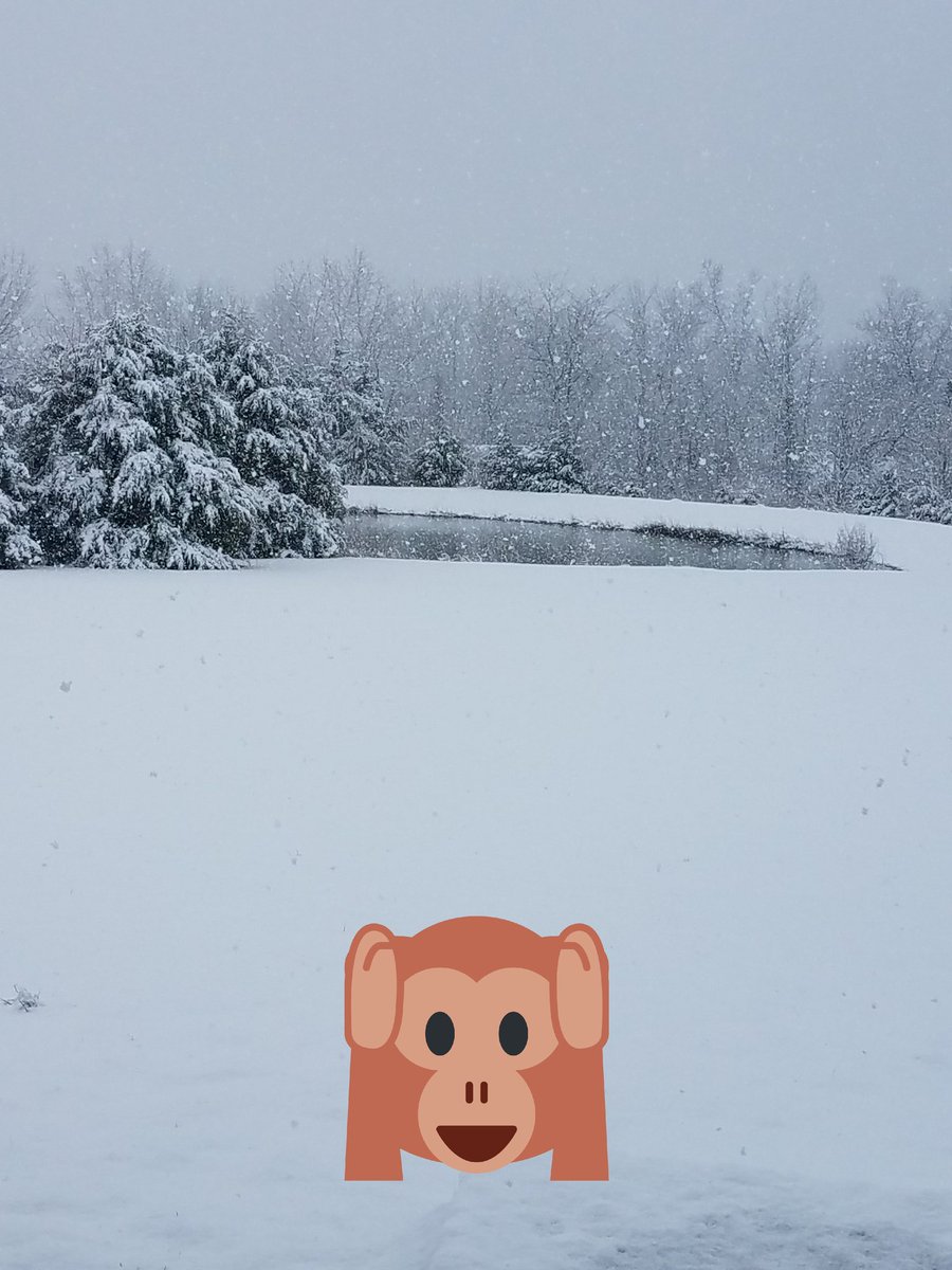 HeatherHelsel's tweet image. Sat at baseball field from 10am-6pm YESTERDAY #MOweather