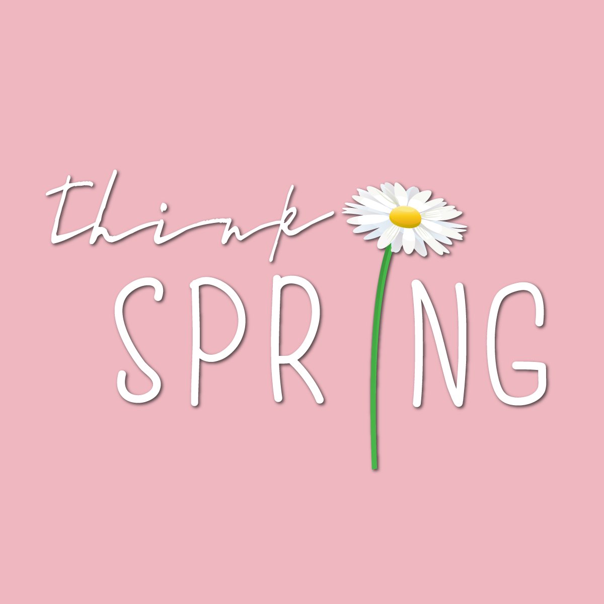 Lake Murray Marina tweet media