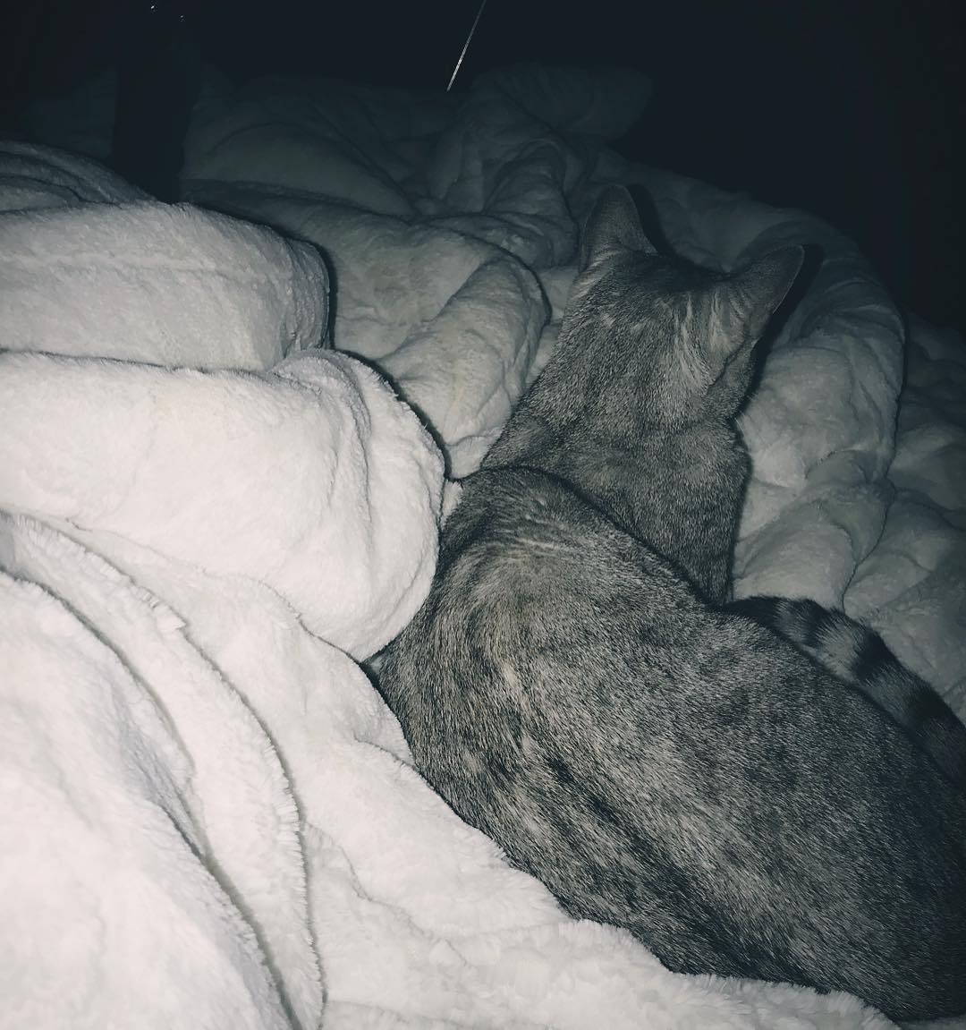 [HYOLYN INSTAGRAM] xhyolynx: 늘 내 옆에 있는 아들래미 kpopsnaps.com/p/BgMbuBBjPGW #kpopsnaps